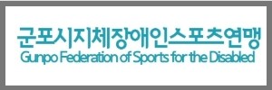 스포츠연맹