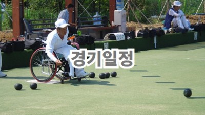 경기일정